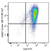 PE/Cy7 anti-human CD357 (GITR)