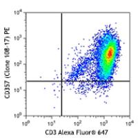 PE anti-human CD357 (GITR)
