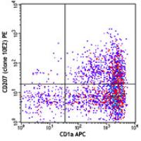 Purified anti-human CD207 (Langerin)