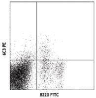 Biotin anti-mouse Ly-51