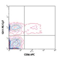 PE/Cy7 anti-human CD314 (NKG2D)