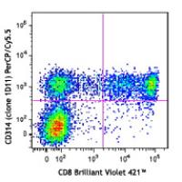 PerCP/Cy5.5 anti-human CD314 (NKG2D)