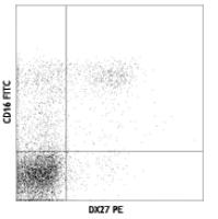 PE anti-human CD158b (KIR2DL2/L3, NKAT2)