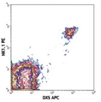 APC anti-mouse CD49b (pan-NK cells)