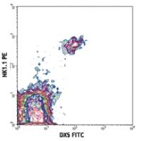 FITC anti-mouse CD49b (pan-NK cells)