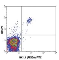 PE anti-mouse CD49b (pan-NK cells)