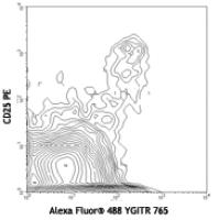 Alexa Fluor® 488 anti-mouse CD357 (GITR)