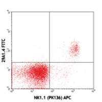FITC anti-mouse CD335 (NKp46)