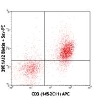 Biotin anti-mouse CD279 (PD-1)