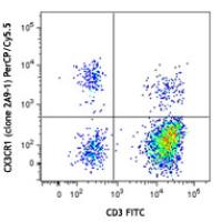 PerCP/Cy5.5 anti-human CX3CR1