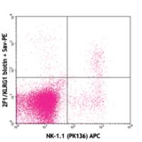 Biotin anti-mouse/human KLRG1 (MAFA)