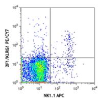 PE/Cy7 anti-mouse/human KLRG1 (MAFA)