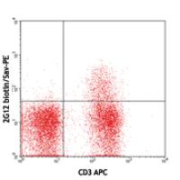 Biotin anti-mouse CD194 (CCR4)
