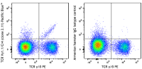 Pacific Blue™ anti-mouse TCR Vγ1.1/Cr4