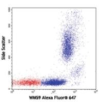 Alexa Fluor® 647 anti-human CD31