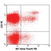 Alexa Fluor® 700 anti-human IFN-γ
