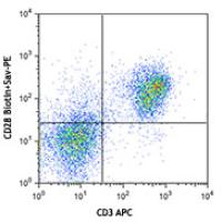 Biotin anti-mouse CD28