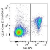 PE/Cy7 anti-mouse CD28