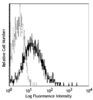 Purified anti-mouse CD279 (PD-1)