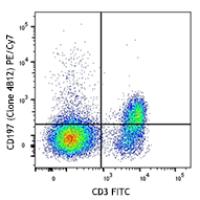PE/Cy7 anti-mouse CD197 (CCR7)