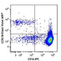 Brilliant Violet 605™ anti-human CD193 (CCR3)