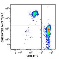 PerCP/Cy5.5 anti-human CD193 (CCR3)
