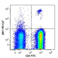 PE/Cy7 anti-human TCR Vα24-Jα18 (iNKT cell)