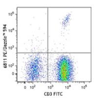 PE/Dazzle™ 594 anti-human TCR Vα24-Jα18 (iNKT cell)