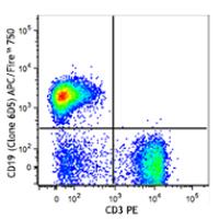 APC/Fire™ 750 anti-mouse CD19