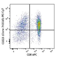 PE/Cy7 anti-human CD223 (LAG-3)