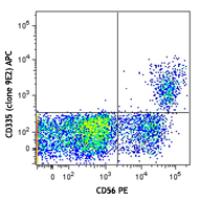 APC anti-human CD335 (NKp46)