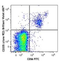 Brilliant Violet 650™ anti-human CD335 (NKp46)