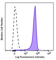 Alexa Fluor® 647 anti-STAT6 Phospho (Tyr641)