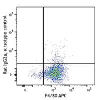 APC/Cy7 anti-mouse CD115 (CSF-1R)