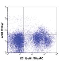 PE/Cy7 anti-mouse CD117 (c-kit)