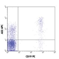 APC anti-human CD73 (Ecto-55'-nucleotidase)