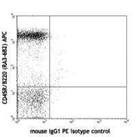 PE anti-mouse CD66a (CEACAM1a)