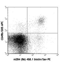 Biotin anti-mouse CD244.2 (2B4 B6 Alloantigen)
