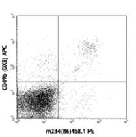 PE anti-mouse CD244.2 (2B4 B6 Alloantigen)