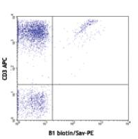Biotin anti-human TCR γ/Î´