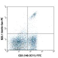 Biotin anti-mouse TCR Vα2