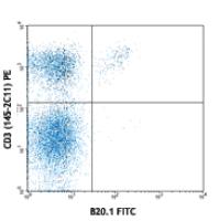 FITC anti-mouse TCR Vα2