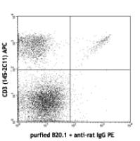 Purified anti-mouse TCR Vα2