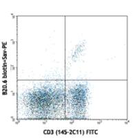 Biotin anti-mouse TCR Vβ2