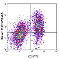 PerCP/Cy5.5 anti-human CD134 (OX40)