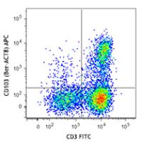 APC anti-human CD103 (Integrin αE)