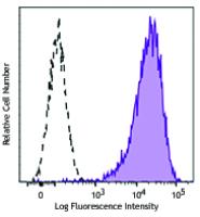 PE/Dazzle™ 594 anti-human CD138 (Syndecan-1)