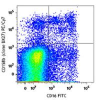 PE/Cy7 anti-human CD158b (KIR2DL2/L3, NKAT2)