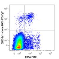 PE/Cy7 anti-human CD158e1 (KIR3DL1, NKB1)