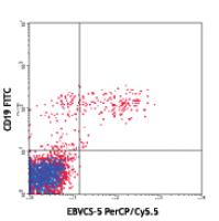 PerCP/Cy5.5 anti-human CD23